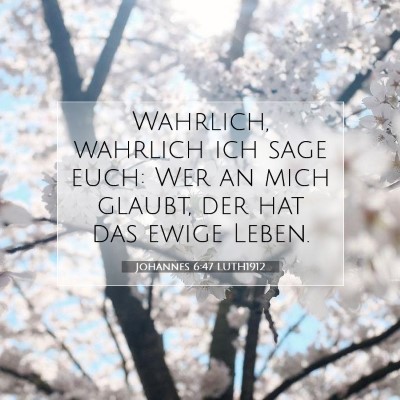Picture 07 - Johannes 6:47 LUTH1912 - Wahrlich, wahrlich ich sage euch: Wer an mich - Bible Verse Picture