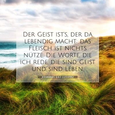 Picture 07 - Johannes 6:63 LUTH1912 - Der Geist ist's, der da lebendig macht; das - Bible Verse Picture