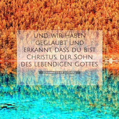 Picture 07 - Johannes 6:69 LUTH1912 - und wir haben geglaubt und erkannt, daß du bist - Bible Verse Picture