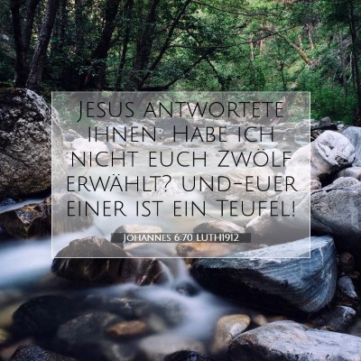 Picture 07 - Johannes 6:70 LUTH1912 - Jesus antwortete ihnen: Habe ich nicht euch - Bible Verse Picture