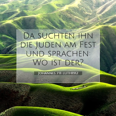 Picture 07 - Johannes 7:11 LUTH1912 - Da suchten ihn die Juden am Fest und sprachen: Wo - Bible Verse Picture