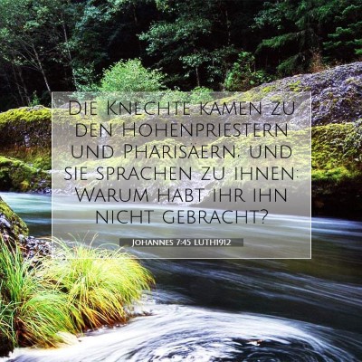 Picture 07 - Johannes 7:45 LUTH1912 - Die Knechte kamen zu den Hohenpriestern und - Bible Verse Picture