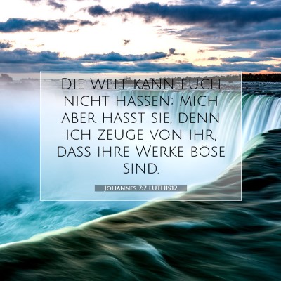 Picture 07 - Johannes 7:7 LUTH1912 - Die Welt kann euch nicht hassen; mich aber haßt - Bible Verse Picture