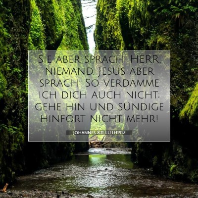 Picture 07 - Johannes 8:11 LUTH1912 - Sie aber sprach: HERR, niemand. Jesus aber - Bible Verse Picture
