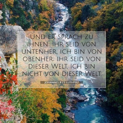 Picture 07 - Johannes 8:23 LUTH1912 - Und er sprach zu ihnen: Ihr seid von untenher, - Bible Verse Picture