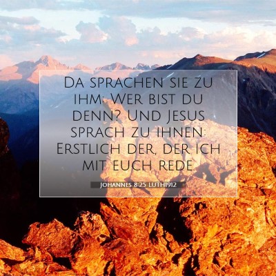 Picture 07 - Johannes 8:25 LUTH1912 - Da sprachen sie zu ihm: Wer bist du denn? Und - Bible Verse Picture