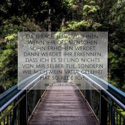 Picture 07 - Johannes 8:28 LUTH1912 - Da sprach Jesus zu ihnen: Wenn ihr des Menschen - Bible Verse Picture