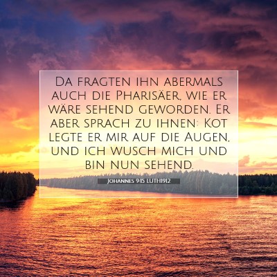 Picture 07 - Johannes 9:15 LUTH1912 - Da fragten ihn abermals auch die Pharisäer, wie - Bible Verse Picture
