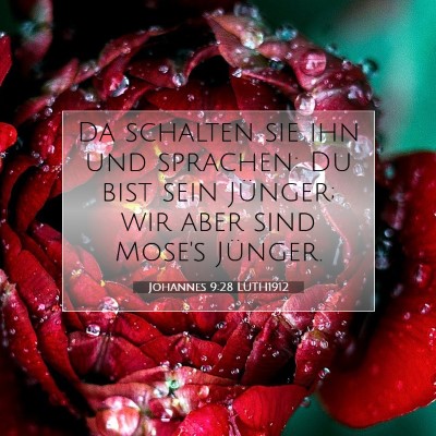 Picture 07 - Johannes 9:28 LUTH1912 - Da schalten sie ihn und sprachen: Du bist sein - Bible Verse Picture