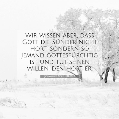 Picture 07 - Johannes 9:31 LUTH1912 - Wir wissen aber, daß Gott die Sünder nicht - Bible Verse Picture