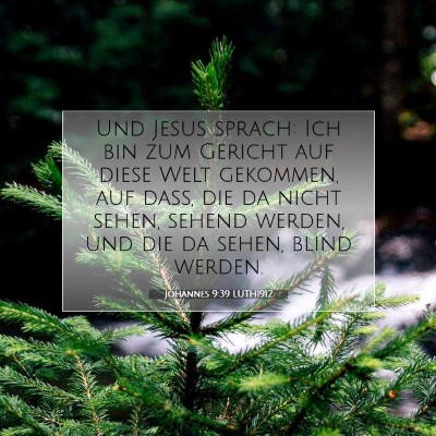Picture 07 - Johannes 9:39 LUTH1912 - Und Jesus sprach: Ich bin zum Gericht auf diese - Bible Verse Picture