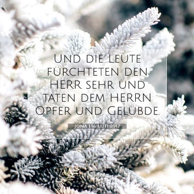 Picture 07 - Jona 1:16 LUTH1912 - Und die Leute fürchteten den HERR sehr und taten - Bible Verse Picture