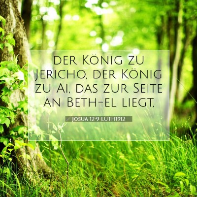 Picture 07 - Josua 12:9 LUTH1912 - der König zu Jericho, der König zu Ai, das zur - Bible Verse Picture