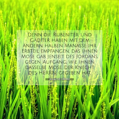 Picture 07 - Josua 13:8 LUTH1912 - Denn die Rubeniter und Gaditer haben mit dem - Bible Verse Picture