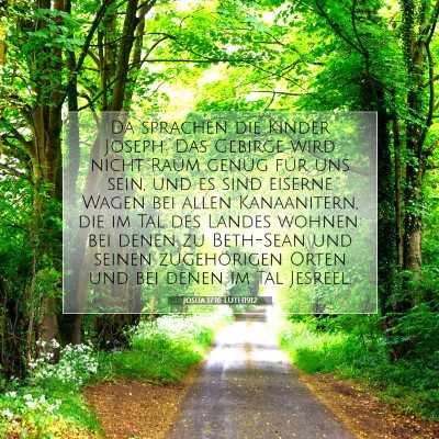 Picture 07 - Josua 17:16 LUTH1912 - Da sprachen die Kinder Joseph: Das Gebirge wird - Bible Verse Picture