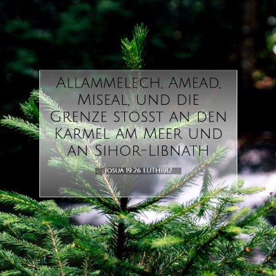Picture 07 - Josua 19:26 LUTH1912 - Allammelech, Amead, Miseal, und die Grenze - Bible Verse Picture