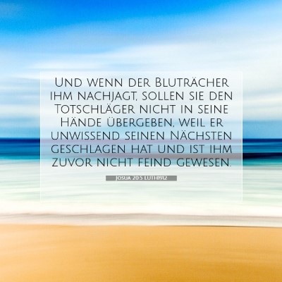 Picture 07 - Josua 20:5 LUTH1912 - Und wenn der Bluträcher ihm nachjagt, sollen sie - Bible Verse Picture