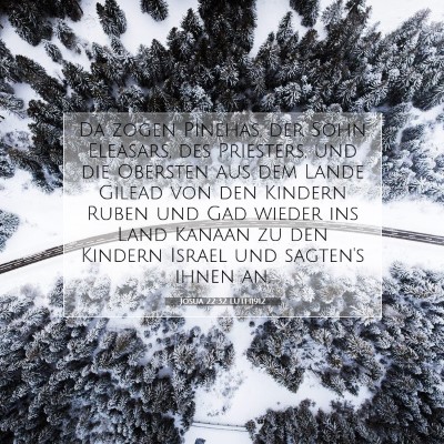 Picture 07 - Josua 22:32 LUTH1912 - Da zogen Pinehas, der Sohn Eleasars, des - Bible Verse Picture