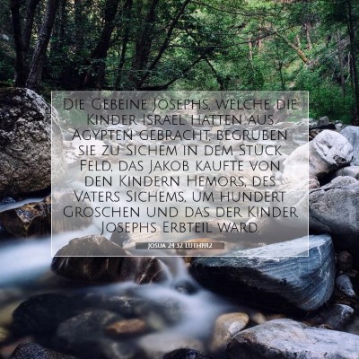 Picture 07 - Josua 24:32 LUTH1912 - Die Gebeine Josephs, welche die Kinder Israel - Bible Verse Picture