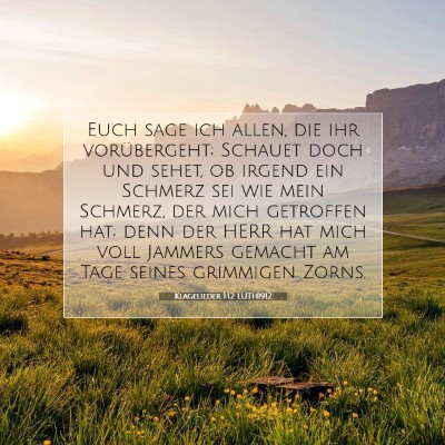 Picture 07 - Klagelieder 1:12 LUTH1912 - Euch sage ich allen, die ihr vorübergeht; - Bible Verse Picture