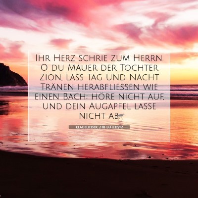 Picture 07 - Klagelieder 2:18 LUTH1912 - Ihr Herz schrie zum Herrn. O du Mauer der Tochter - Bible Verse Picture