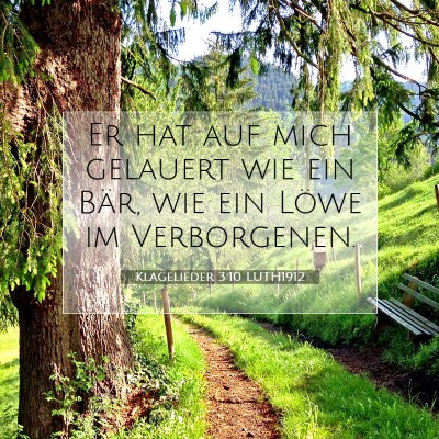 Picture 07 - Klagelieder 3:10 LUTH1912 - Er hat auf mich gelauert wie ein Bär, wie ein - Bible Verse Picture