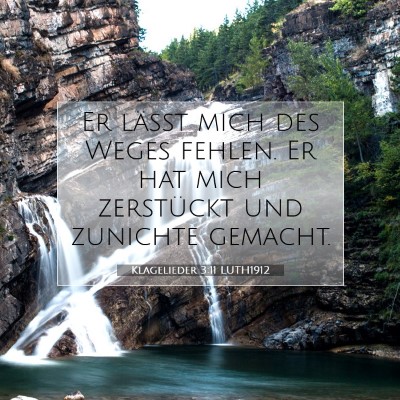 Picture 07 - Klagelieder 3:11 LUTH1912 - Er läßt mich des Weges fehlen. Er hat mich - Bible Verse Picture
