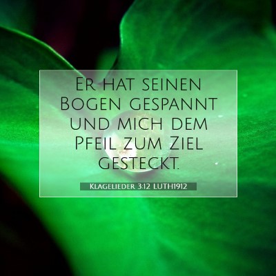 Picture 07 - Klagelieder 3:12 LUTH1912 - Er hat seinen Bogen gespannt und mich dem Pfeil - Bible Verse Picture