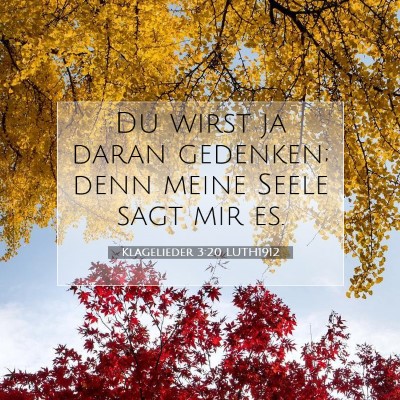 Picture 07 - Klagelieder 3:20 LUTH1912 - Du wirst ja daran gedenken; denn meine Seele sagt - Bible Verse Picture
