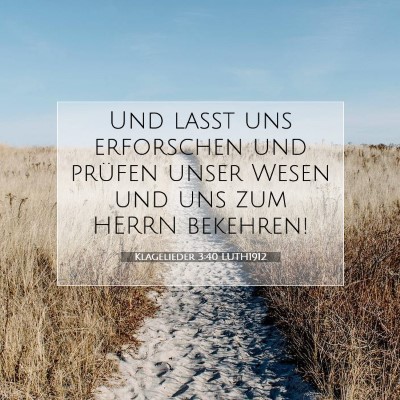 Picture 07 - Klagelieder 3:40 LUTH1912 - Und laßt uns erforschen und prüfen unser Wesen - Bible Verse Picture