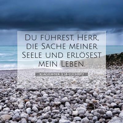 Picture 07 - Klagelieder 3:58 LUTH1912 - Du führest, Herr, die Sache meiner Seele und - Bible Verse Picture