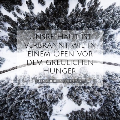 Picture 07 - Klagelieder 5:10 LUTH1912 - Unsre Haut ist verbrannt wie in einem Ofen vor - Bible Verse Picture