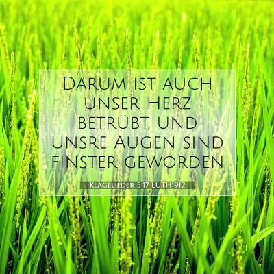 Picture 07 - Klagelieder 5:17 LUTH1912 - Darum ist auch unser Herz betrübt, und unsre - Bible Verse Picture