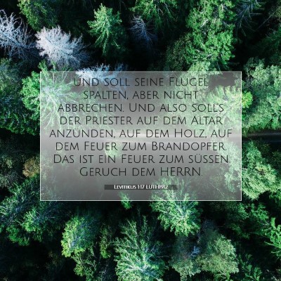 Picture 07 - Levitikus 1:17 LUTH1912 - und soll seine Flügel spalten, aber nicht - Bible Verse Picture
