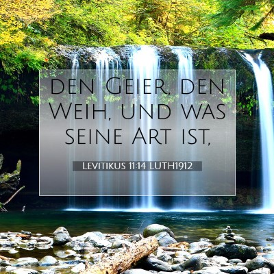 Picture 07 - Levitikus 11:14 LUTH1912 - den Geier, den Weih, und was seine Art - Bible Verse Picture