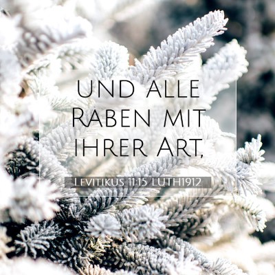 Picture 07 - Levitikus 11:15 LUTH1912 - und alle Raben mit ihrer - Bible Verse Picture