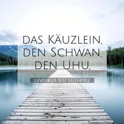 Picture 07 - Levitikus 11:17 LUTH1912 - das Käuzlein, den Schwan, den - Bible Verse Picture