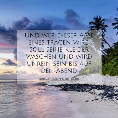 Picture 07 - Levitikus 11:25 LUTH1912 - Und wer dieser Aase eines tragen wird, soll seine - Bible Verse Picture