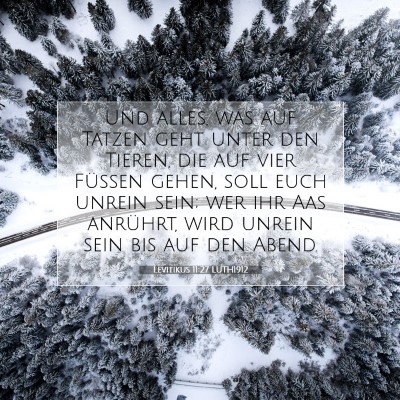 Picture 07 - Levitikus 11:27 LUTH1912 - Und alles, was auf Tatzen geht unter den Tieren, - Bible Verse Picture