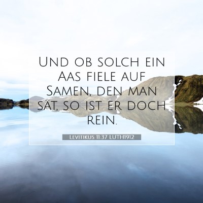 Picture 07 - Levitikus 11:37 LUTH1912 - Und ob solch ein Aas fiele auf Samen, den man - Bible Verse Picture