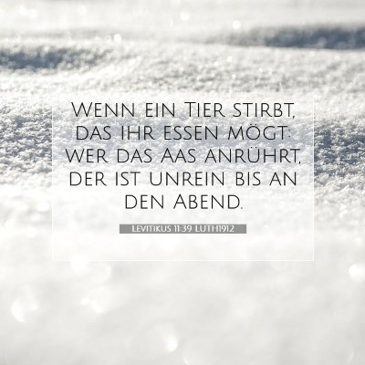 Picture 07 - Levitikus 11:39 LUTH1912 - Wenn ein Tier stirbt, das ihr essen mögt: wer - Bible Verse Picture