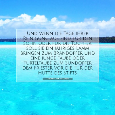 Picture 07 - Levitikus 12:6 LUTH1912 - Und wenn die Tage ihrer Reinigung aus sind für - Bible Verse Picture