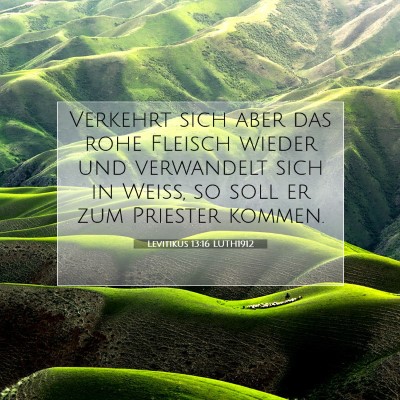 Picture 07 - Levitikus 13:16 LUTH1912 - Verkehrt sich aber das rohe Fleisch wieder und - Bible Verse Picture