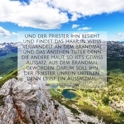 Picture 07 - Levitikus 13:25 LUTH1912 - und der Priester ihn besieht und findet das Haar - Bible Verse Picture