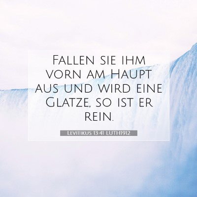 Picture 07 - Levitikus 13:41 LUTH1912 - Fallen sie ihm vorn am Haupt aus und wird eine - Bible Verse Picture