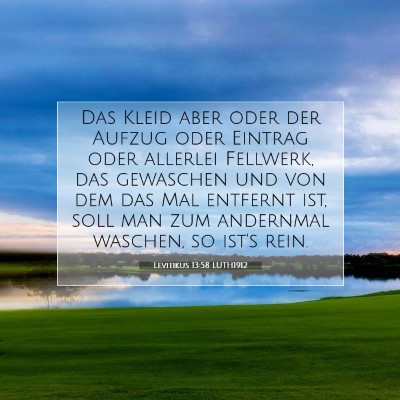 Picture 07 - Levitikus 13:58 LUTH1912 - Das Kleid aber oder der Aufzug oder Eintrag oder - Bible Verse Picture