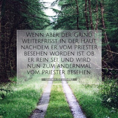 Picture 07 - Levitikus 13:7 LUTH1912 - Wenn aber der Grind weiterfrißt in der Haut, - Bible Verse Picture