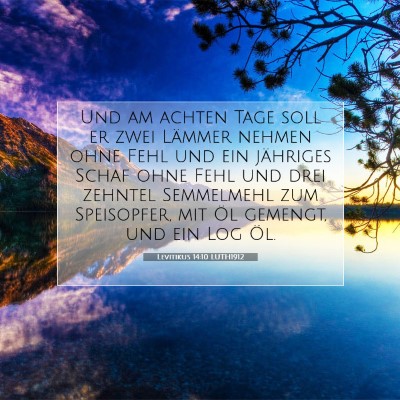 Picture 07 - Levitikus 14:10 LUTH1912 - Und am achten Tage soll er zwei Lämmer nehmen - Bible Verse Picture