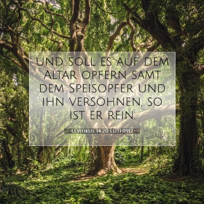 Picture 07 - Levitikus 14:20 LUTH1912 - und soll es auf dem Altar opfern samt dem - Bible Verse Picture