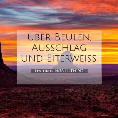 Picture 07 - Levitikus 14:56 LUTH1912 - über Beulen, Ausschlag und - Bible Verse Picture